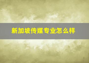 新加坡传媒专业怎么样