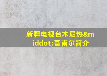 新疆电视台木尼热·吾甫尔简介