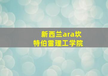 新西兰ara坎特伯雷理工学院