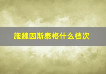 施魏因斯泰格什么档次