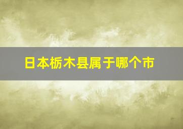 日本栃木县属于哪个市