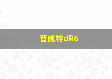 普威特dR6