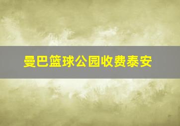 曼巴篮球公园收费泰安