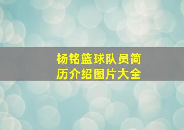 杨铭篮球队员简历介绍图片大全