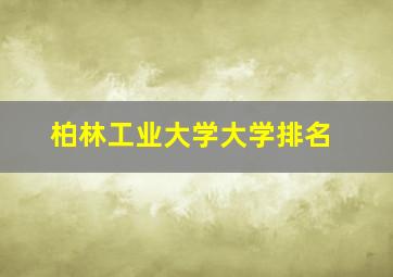 柏林工业大学大学排名