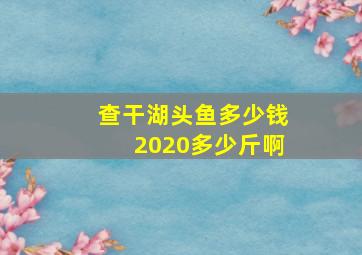 查干湖头鱼多少钱2020多少斤啊