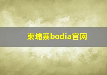 柬埔寨bodia官网