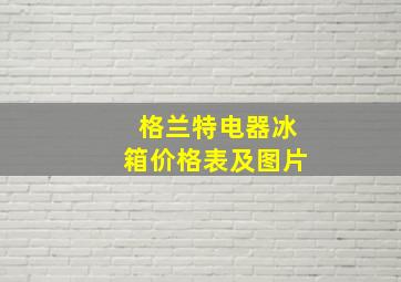 格兰特电器冰箱价格表及图片