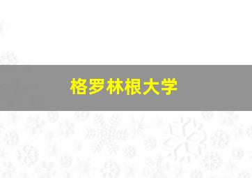 格罗林根大学