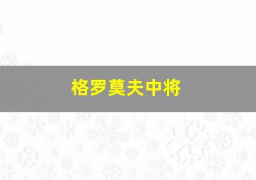 格罗莫夫中将