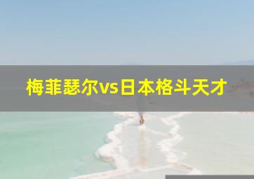 梅菲瑟尔vs日本格斗天才