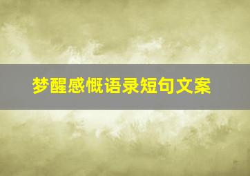 梦醒感慨语录短句文案