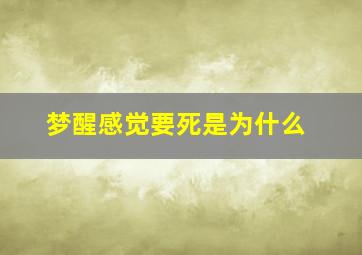 梦醒感觉要死是为什么