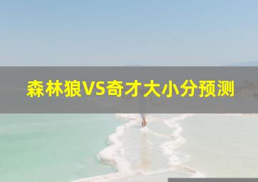 森林狼VS奇才大小分预测