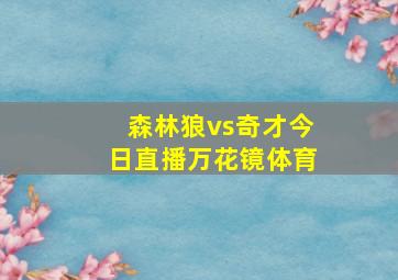 森林狼vs奇才今日直播万花镜体育