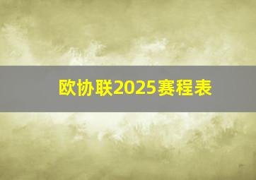 欧协联2025赛程表