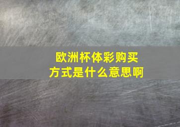 欧洲杯体彩购买方式是什么意思啊