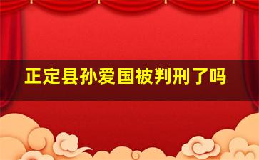 正定县孙爱国被判刑了吗