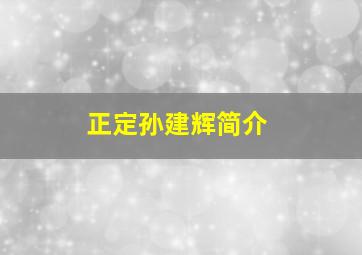 正定孙建辉简介