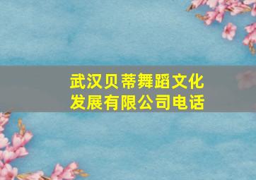 武汉贝蒂舞蹈文化发展有限公司电话