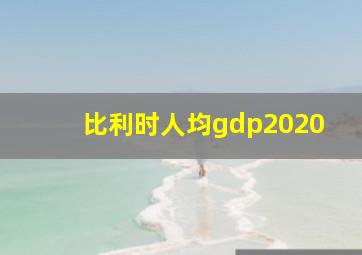 比利时人均gdp2020