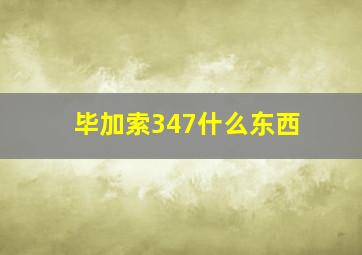 毕加索347什么东西