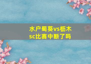 水户蜀葵vs枥木sc比赛中断了吗