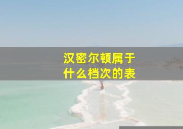 汉密尔顿属于什么档次的表