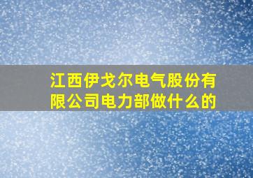 江西伊戈尔电气股份有限公司电力部做什么的