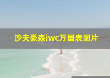 沙夫豪森iwc万国表图片