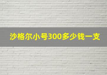 沙格尔小号300多少钱一支