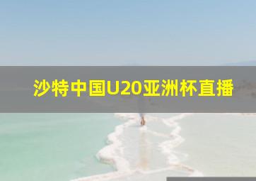 沙特中国U20亚洲杯直播