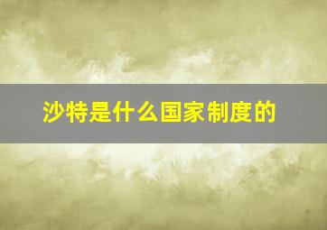 沙特是什么国家制度的