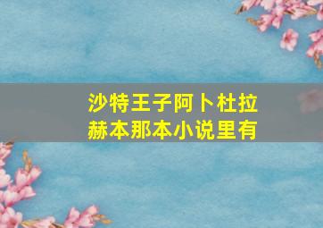 沙特王子阿卜杜拉赫本那本小说里有