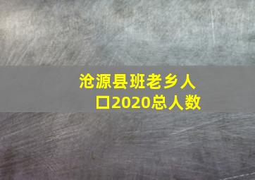 沧源县班老乡人口2020总人数