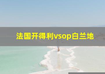 法国开得利vsop白兰地