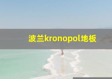 波兰kronopol地板