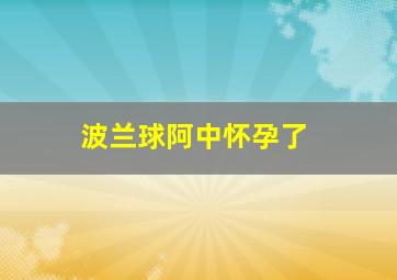 波兰球阿中怀孕了