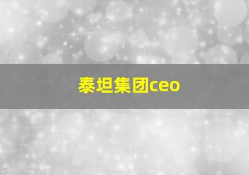 泰坦集团ceo