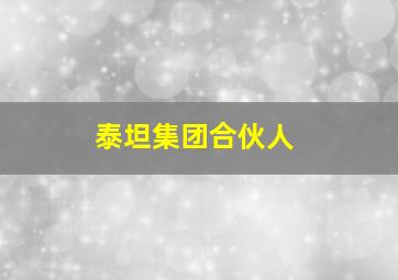 泰坦集团合伙人