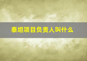 泰坦项目负责人叫什么