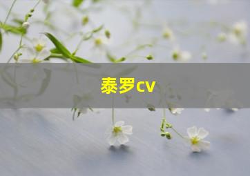 泰罗cv