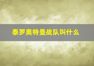 泰罗奥特曼战队叫什么