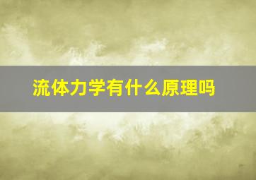 流体力学有什么原理吗