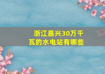 浙江嘉兴30万千瓦的水电站有哪些