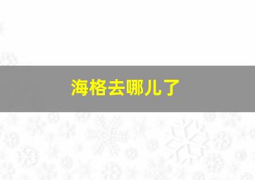 海格去哪儿了