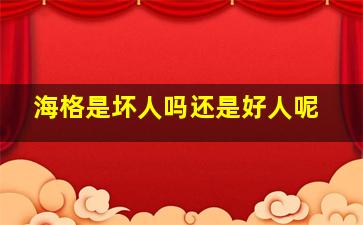 海格是坏人吗还是好人呢