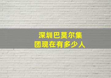 深圳巴莫尔集团现在有多少人