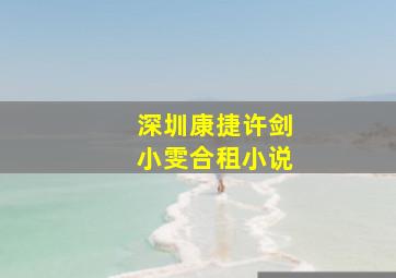 深圳康捷许剑小雯合租小说