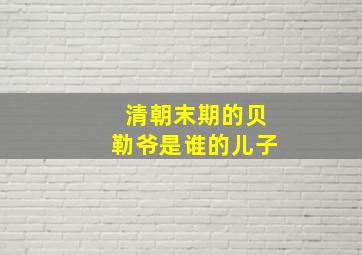 清朝末期的贝勒爷是谁的儿子